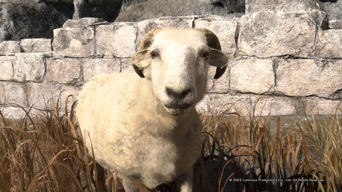 A la base je voulais une image drole, j'ai fini avec des cauchemars