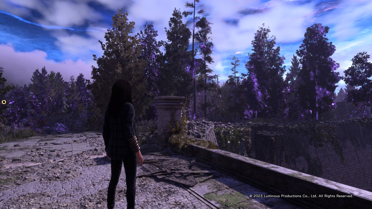 Les belles forêts de Junoon