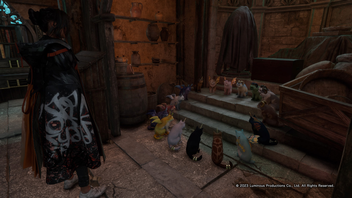 Potit chat 35432/35432 !